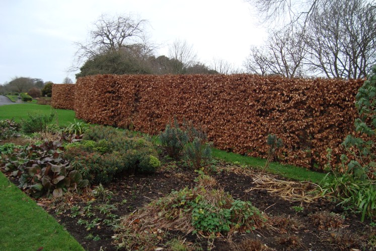 Inverno com cara de inverno.