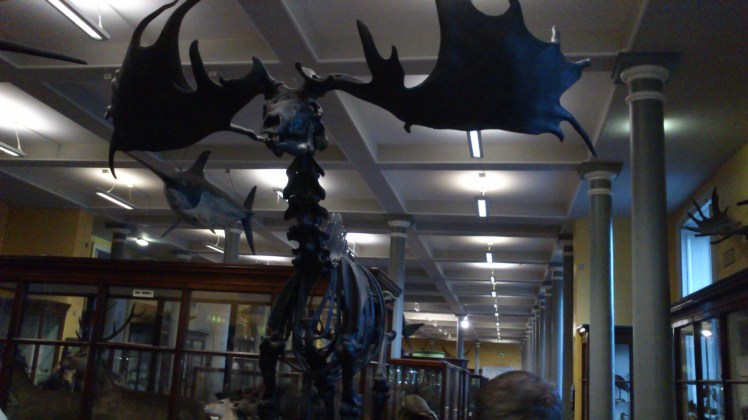 Empalharam um amigo!