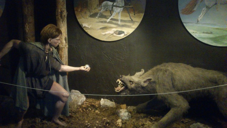 Esse pequeno "vestido" de hobbit venceu esse lobo.