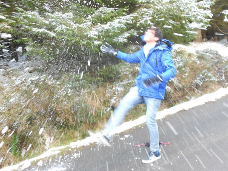 483860_448888755191046_456260541_n