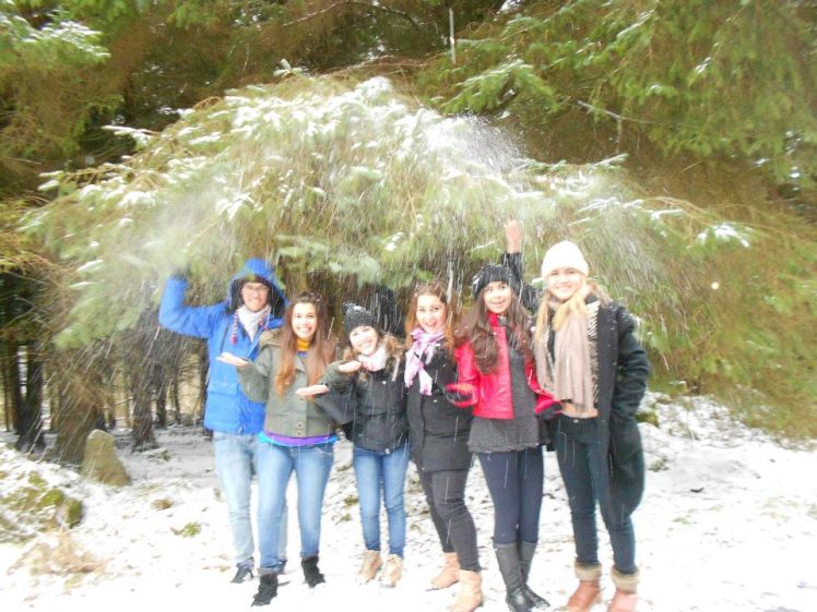 Rolou uma chacoalhadinha no galho pra fazer efeito. 