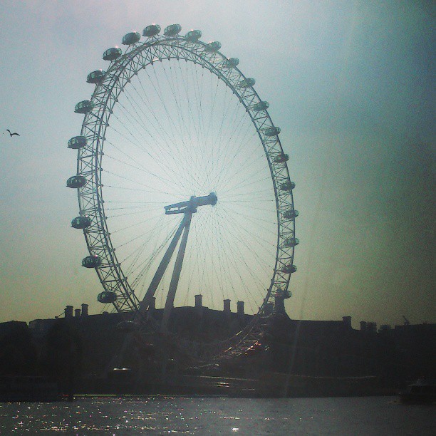 London Eye - olhem o passarinho <3