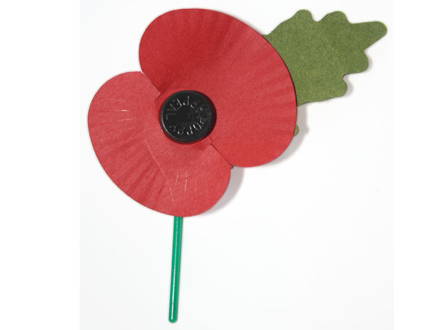 Broche do Remembrance Day