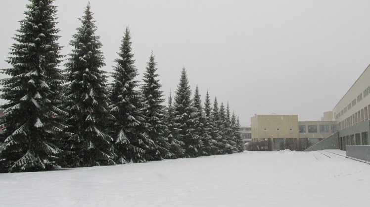 Branquinho, branquinho